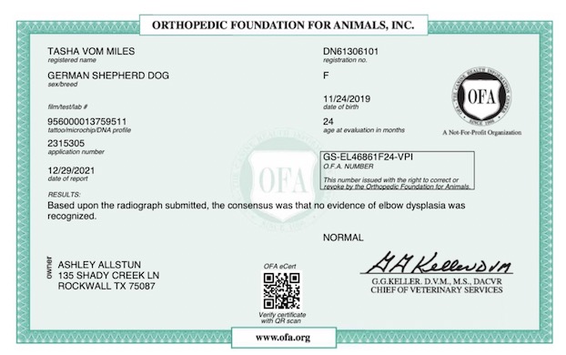 Tasha Elbow Certificate