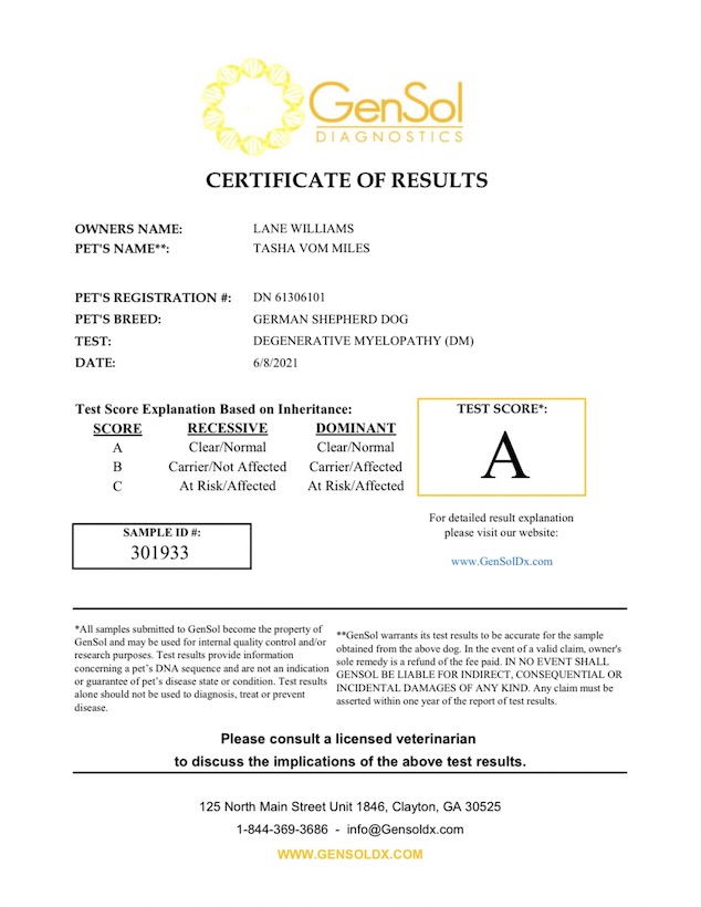Tasha DM Certificate