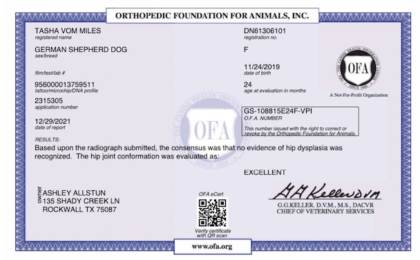 Tasha Hip Certificate