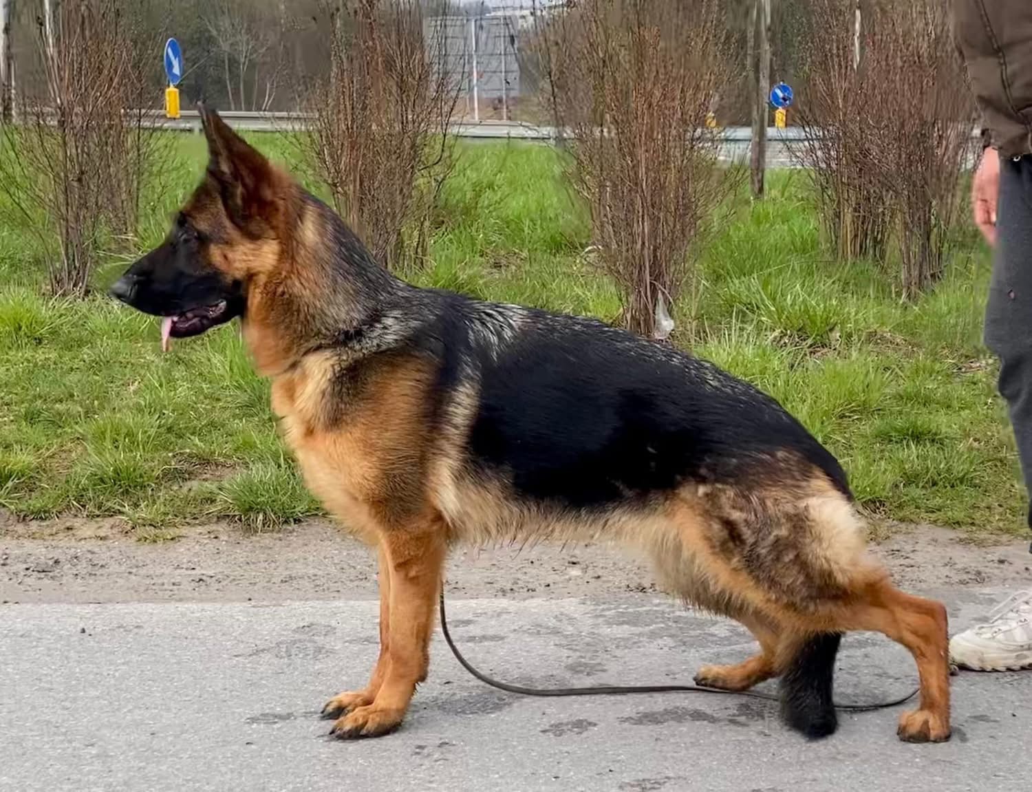 Ria